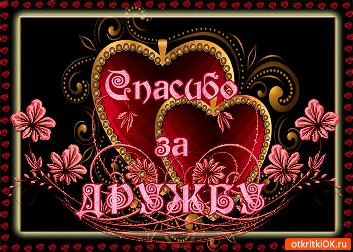 Картинка спасибо за вашу прекрасную дружбу