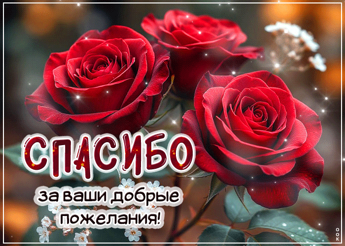 Postcard спасибо за ваши добрые пожелания