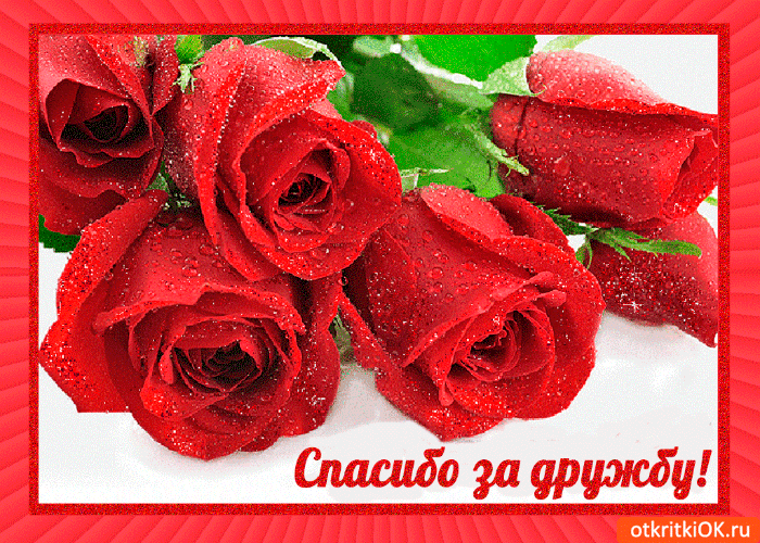 Открытка спасибо за верную дружбу