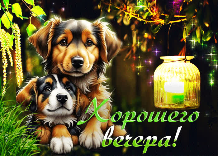 Picture спокойная и умиротворенная гиф-открытка с песиками хорошего вечера