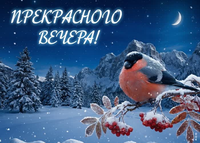 Picture спокойного зимнего вечера!