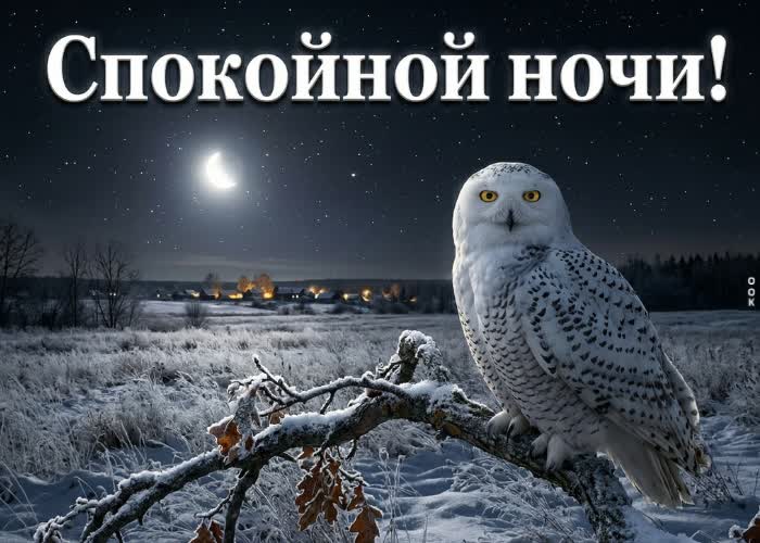 Picture спокойной ночи и прекрасного настроения до самого утра.