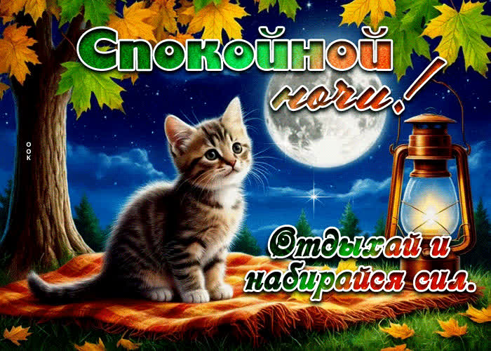 Postcard спокойной ночи! отдыхай и набирайся сил