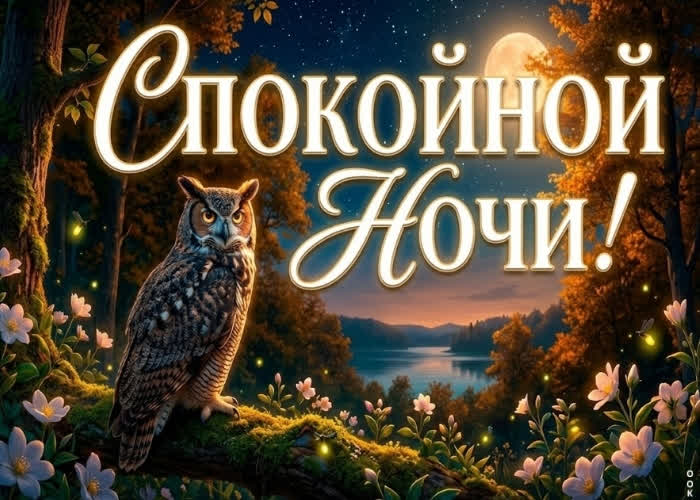 Picture спокойной ночи, отдыхай под звёздным небом