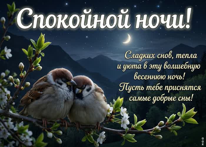 Picture спокойной ночи! пусть сон будет лёгким и приятным