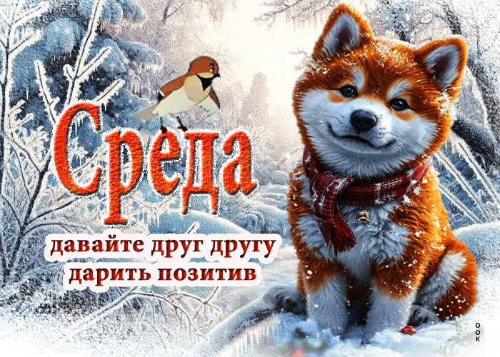 Postcard среда! давайте друг другу дарить позитив