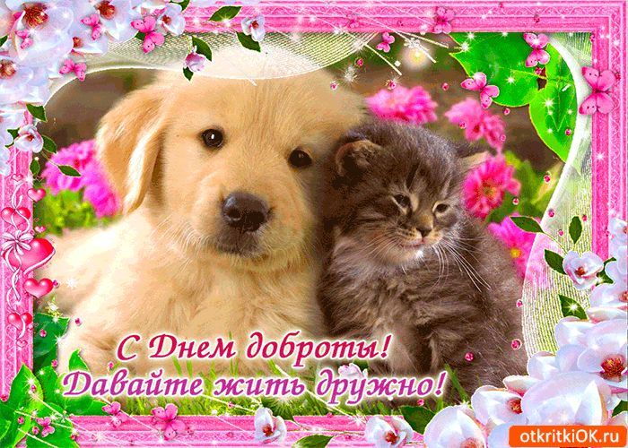 Открытка станем чуточку добрее