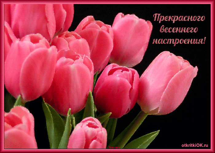 Картинка стих наступила весна