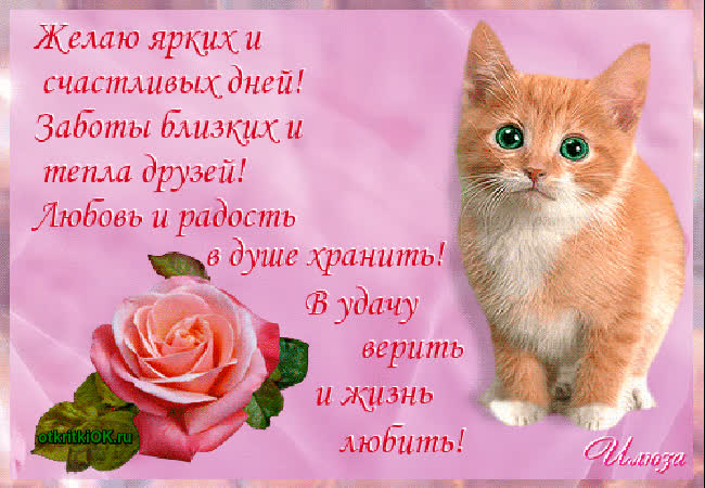Картинка стихи день счастья