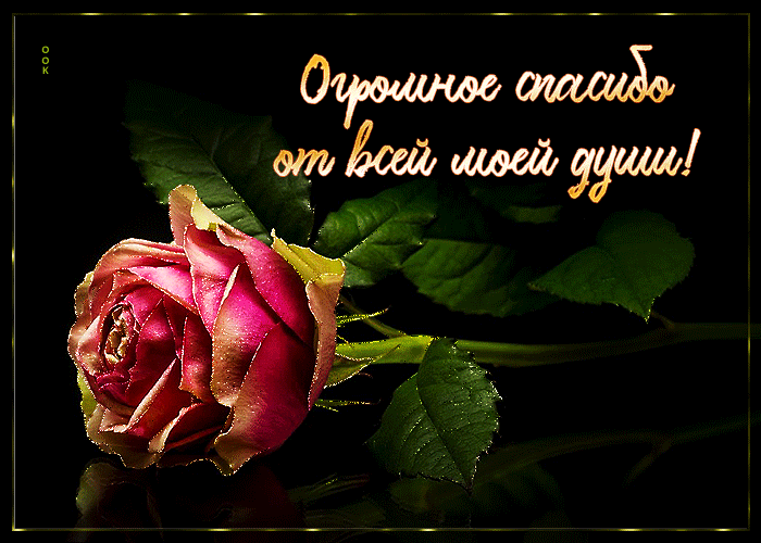 Picture стильная открытка огромное спасибо от всей моей души!