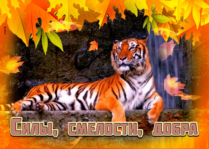 Postcard стильная открытка с тигром силы, смелости, добра
