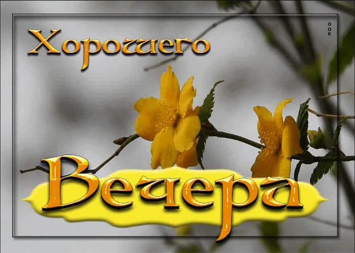 Picture стильная открытка с желтыми цветами хорошего вечера