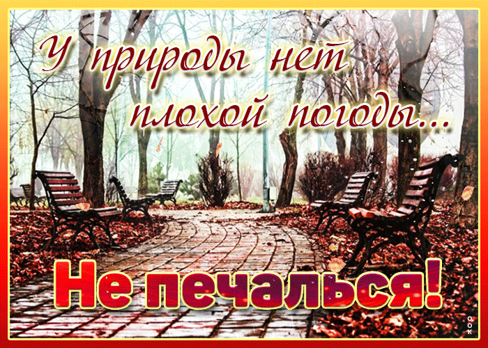 Картинка сто тысяч пожеланием счастья