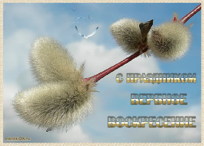 Картинка сценарий праздника - вербное воскресенье