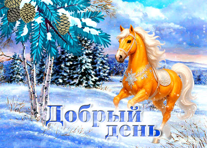 Postcard супер открытка с зайкой добрый день