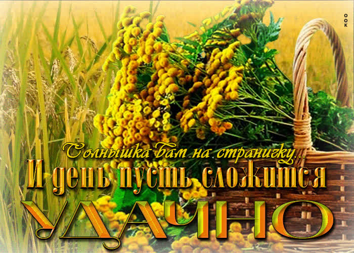 Picture супер открытка солнышка вам на страничку
