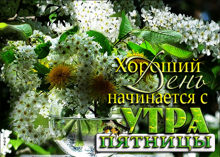 Picture супер открытка хороший день начинается с утра пятницы