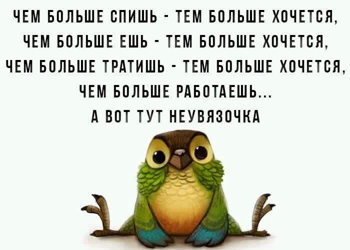 Картинка супер смешная картинка