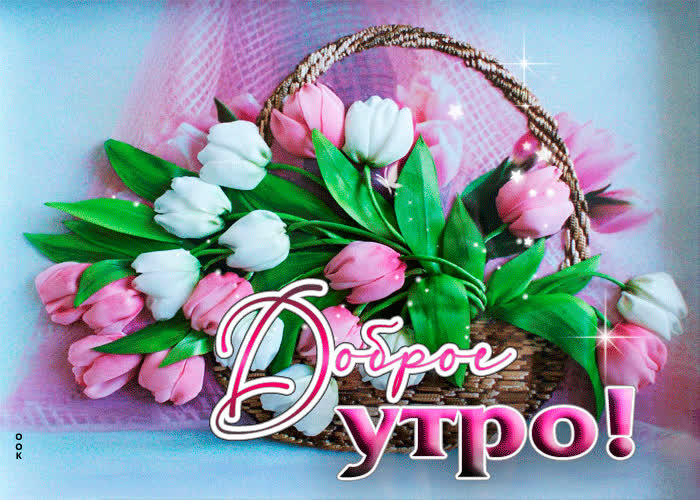 Postcard светлая и привлекательная гиф-открытка доброе утро