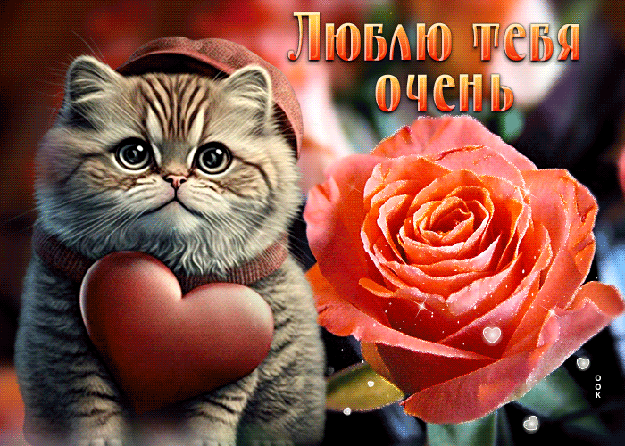 Picture светлая и умиротворяющая гиф-открытка с кошечкой люблю тебя очень