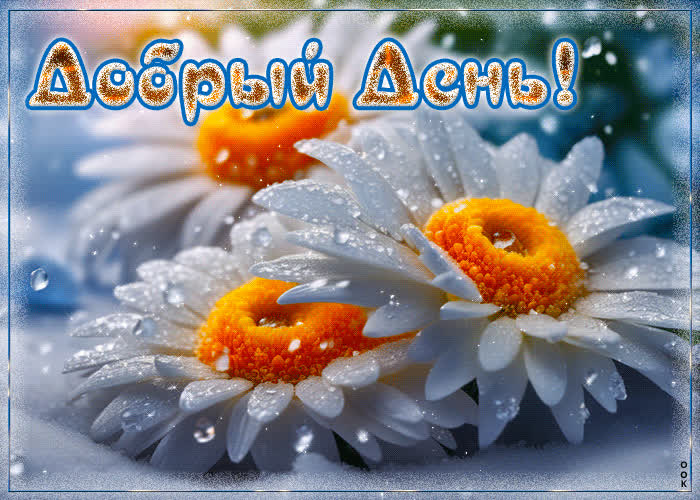 Postcard светлая и умиротворяющая зимняя гиф-открытка добрый день