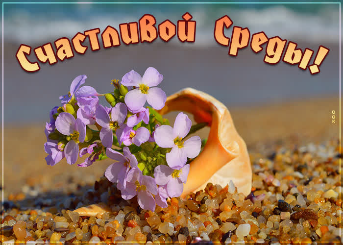 Картинка светлая картинка со средой