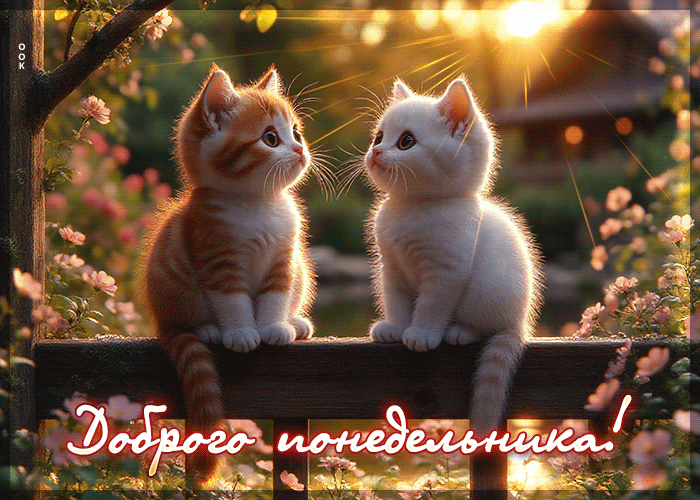 Picture светлая летняя гиф-открытка доброго понедельника!