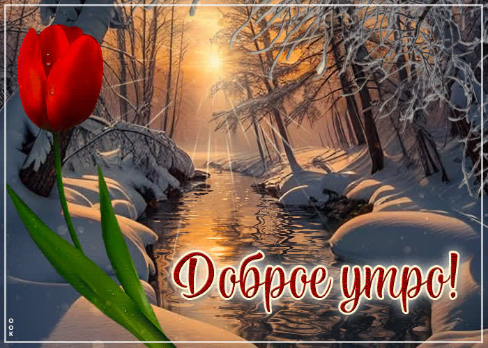 Postcard таинственная гиф-открытка доброе утро