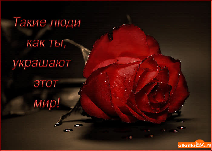Картинка такие люди как ты украшают этот мир