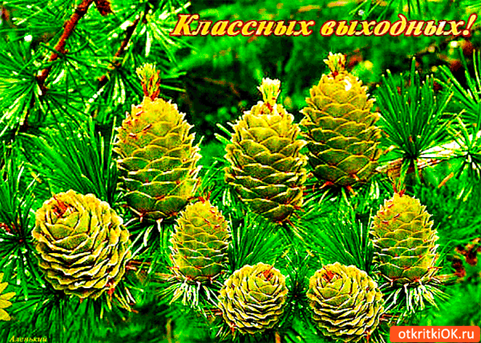 Открытка тебе классных выходных желаю