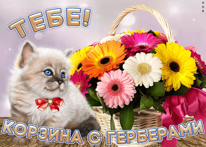 Открытка тебе корзина с герберами
