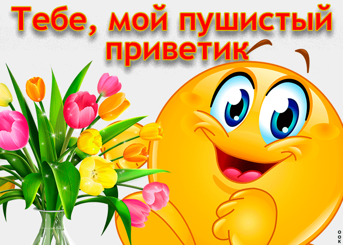 Открытка тебе мой пушистый приветик!