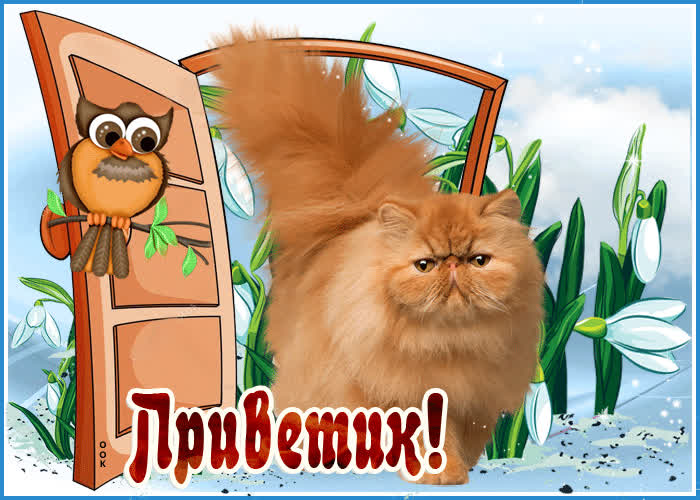 Картинка тебе от меня мой букетик и приветик