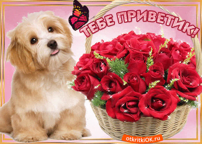 Картинка тебе от меня приветик