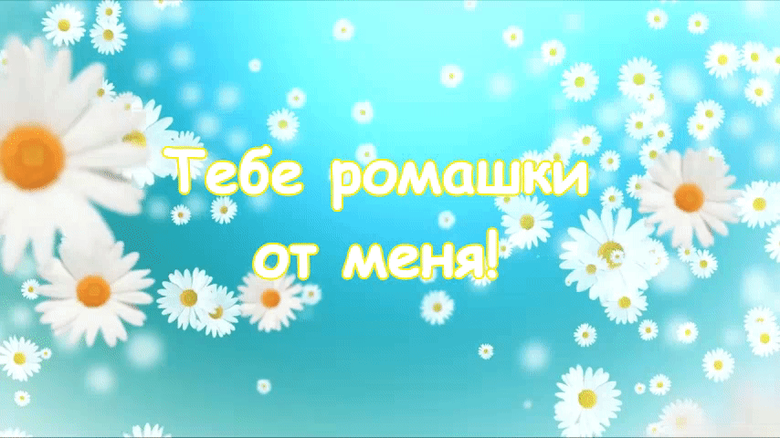 Открытка тебе ромашки от меня!