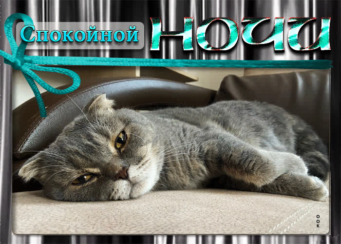 Picture теплая анимационная открытка спокойной ночи