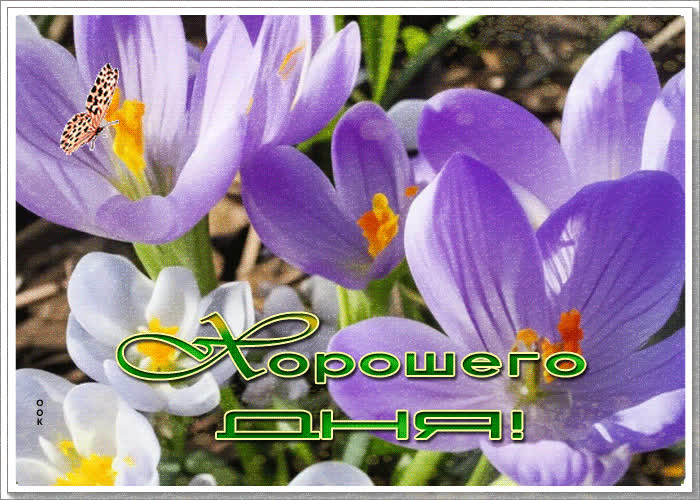 Picture теплая и ласковая весенняя гиф-открытка хорошего дня