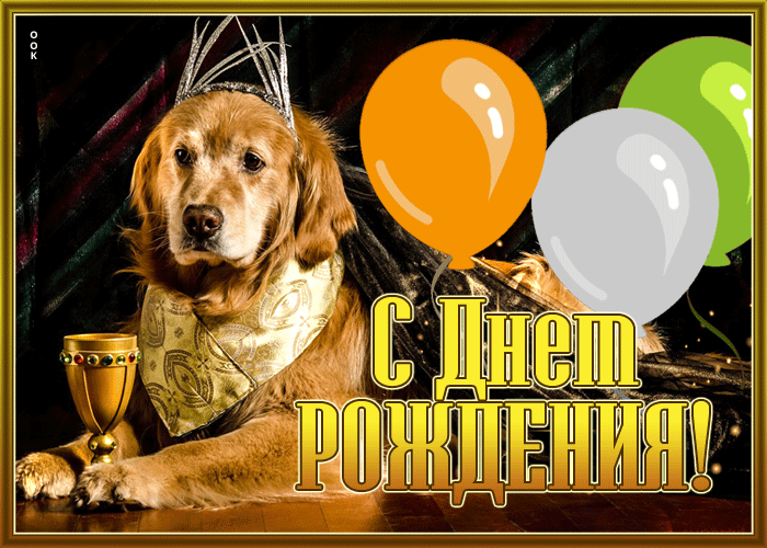Picture теплая и уютная открытка с песиком с днем рождения