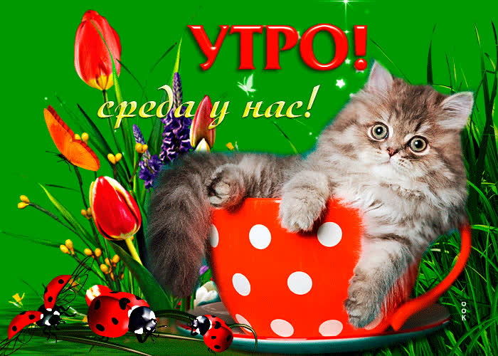 Picture теплая открытка утро! среда у нас!