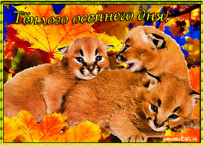 Картинка теплого осеннего дня