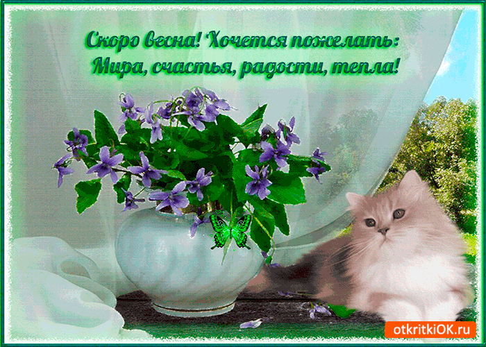 Картинка тёплой весны хочется пожелать