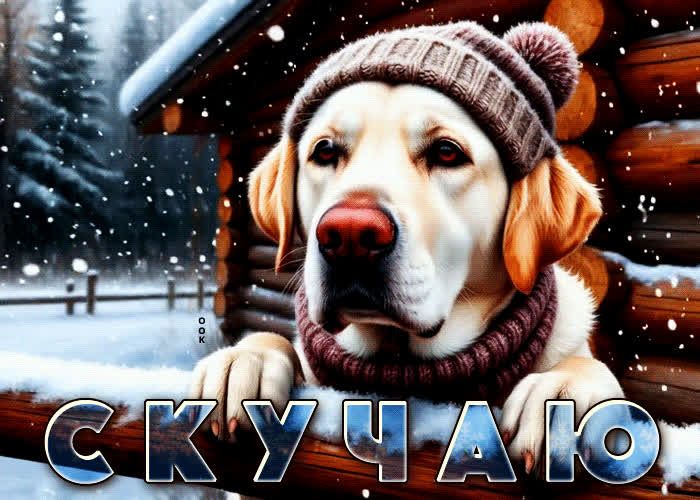 Postcard тихая, уютная гифка скучаю