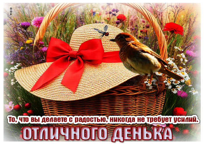 Postcard то, что вы делаете с радостью, никогда не требует усилий
