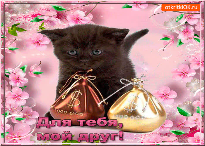 Картинка только для тебя, мой друг