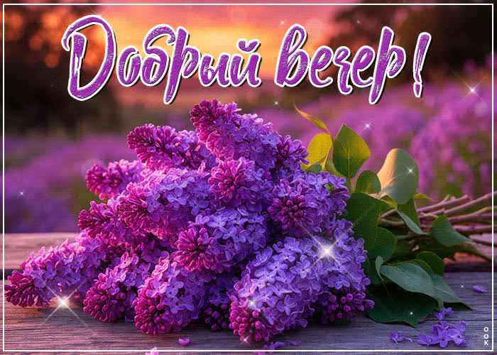 Postcard тонкая и чувственная весенняя гиф-открытка добрый вечер