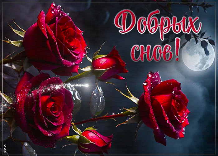 Picture трепетная открытка с розами добрых снов