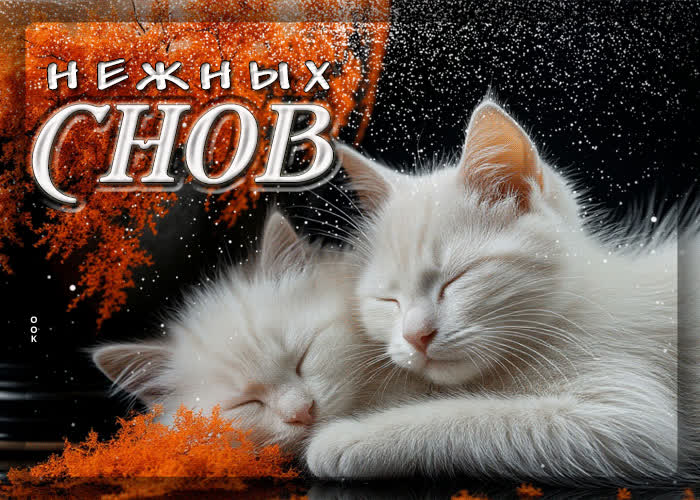 Picture трогательная гиф-открытка нежных снов