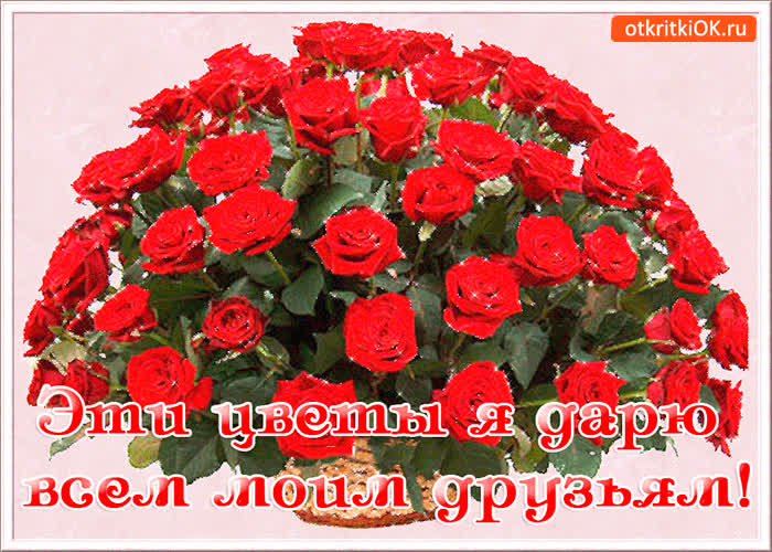 Картинка цветы дарю моим друзьям