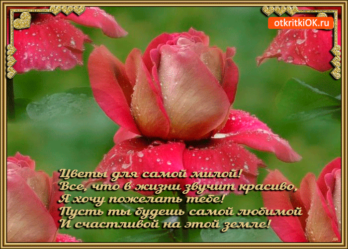 Картинка цветы для самой милой