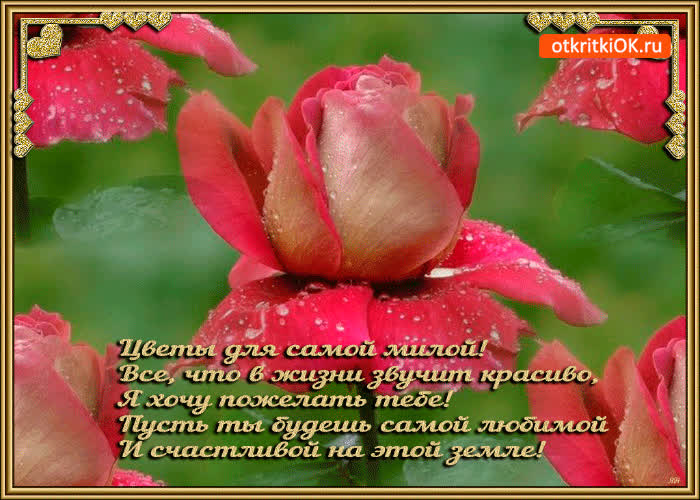 Картинка цветы для самой милой